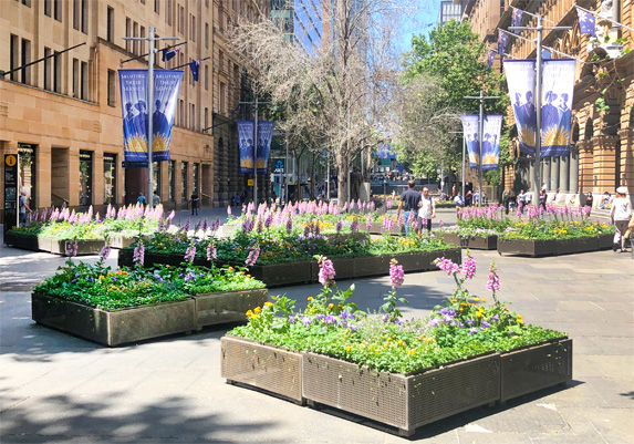 CITYWIDE - 2021 spring Plants Display martin